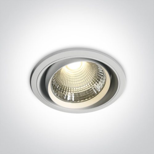 11150b / w / c fehér COB LED 50W CW 40DEG WW 230V