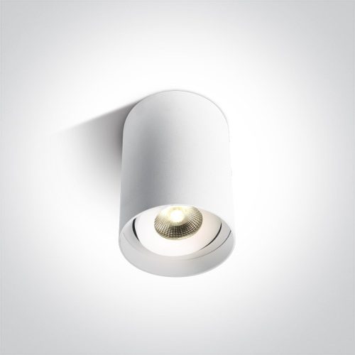 12110D / W / W fehér COB henger LED 10W WW 36DEG IP20 100-240V