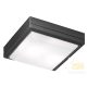 Viokef Ceiling Lamp Dark Grey Sq Leros 4049304