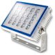 Inesa LED reflektor, ZY228 Floodlight 60W 4500lm 4000K G2