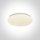 62026C / W White LED PLAFO 30W WW IP20 230V