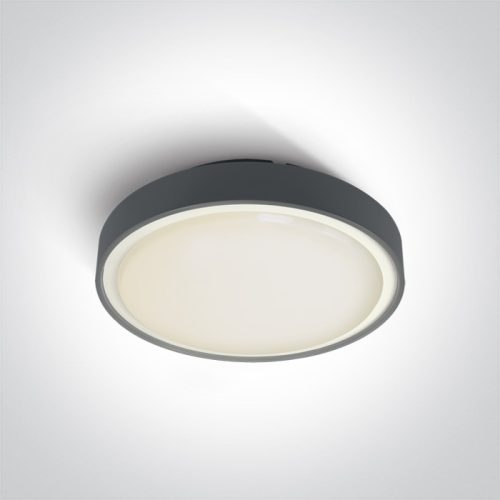 67280BN / ANTHRACITE LED PLAFO 30W WW IP65 230V