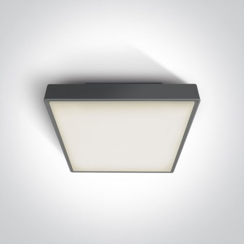 67282AN / ANTHRACITE LED PLAFO 24W WW IP65 230V