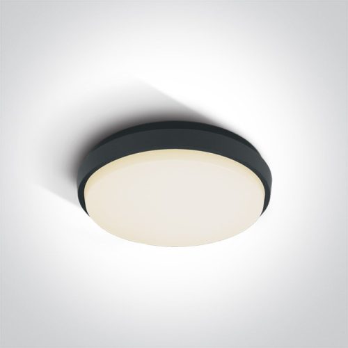 67362 / ANTHRACITE PLAFO LED 25W WW IP54 230V