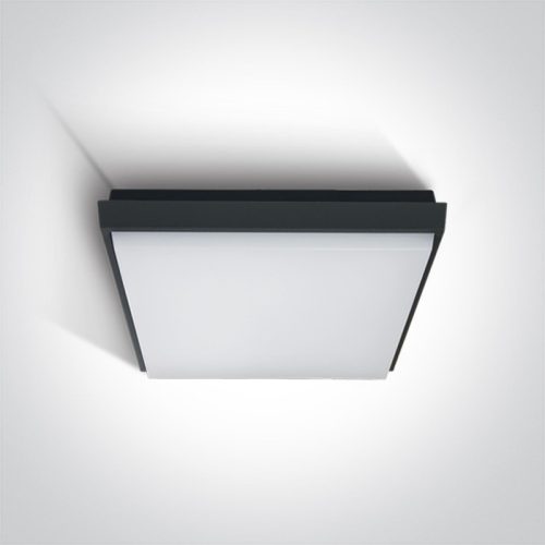 67363A / ANTHRACITE PLAFO LED 30W WW IP54 100-240V