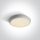 67366 / W / W fehér LED PLAFO 12W WW IP54 100-240V