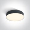 67390 / ANTHRACITE LED PLAFO 21W WW IP65 230V