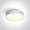 67390 / W / W fehér LED PLAFO 21W WW IP65 230V