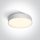 67390 / W / W fehér LED PLAFO 21W WW IP65 230V