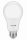 Avide Led Globe A65 15W E27 240° Cw 6400K