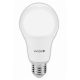 Avide Led Globe A65 15W E27 240° Cw 6400K