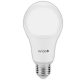 Avide Led Globe A70 18W E27 240° Cw 6400K