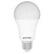 Entac LED Globe E27 12W CW 6400K