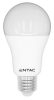 Entac LED Globe E27 15W CW 6400K