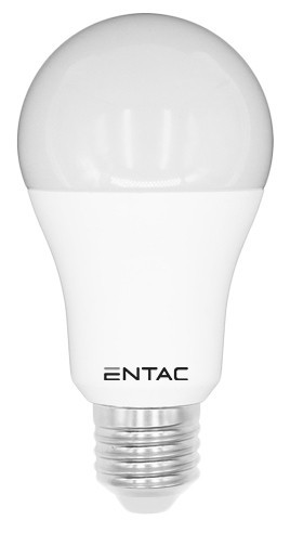 Entac LED Globe E27 15W CW 6400K