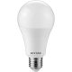 Entac LED Globe E27 18W CW 6400K