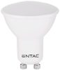 Entac LED Spot Wide Angle GU10 6,5W CW 6400K