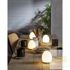 LED NIGHTLIGHT FUNCTIONAL