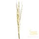 Decorative Twig Willow 584-06