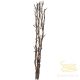 Decorative Twig Willow 584-31