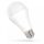 LED GLS PREMIUM E27 230V 20W CW